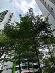 Blk 339A Kang Ching Road (Jurong West), HDB 4 Rooms #554766011